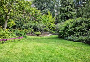 Optimiser l'expérience du jardin à Mont-de-l'If